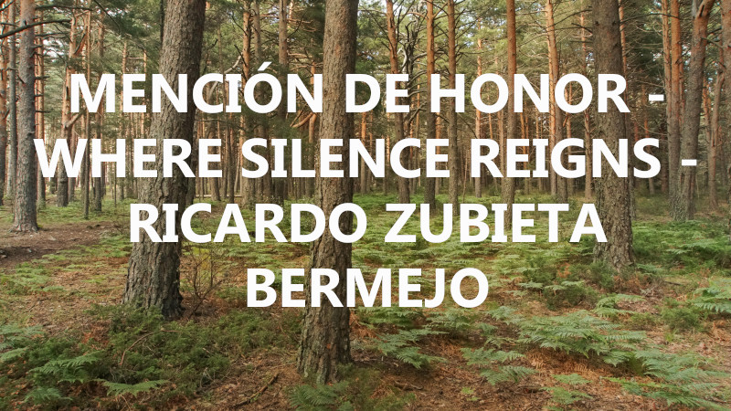 MENCIÓN DE HONOR - WHERE SILENCE REIGNS - RICARDO ZUBIETA BERMEJO2